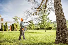 Why Choose Our Tree Removal Services in Griffin, GA?